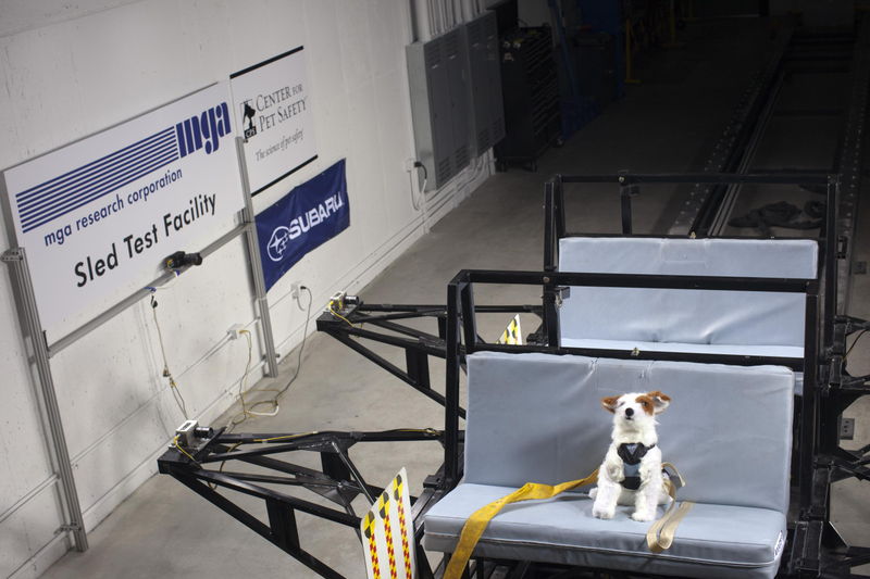 Illustration for article titled Subaru Is Launching These Cute Pet Crash Test Dummies... For Science